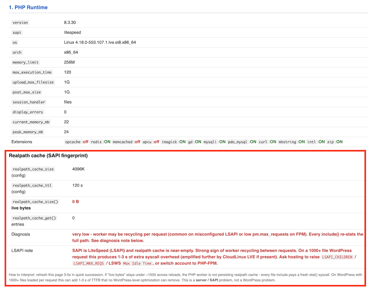Przykład rezultatu WOW Audit i informacji o realpath_cache (OPcache)